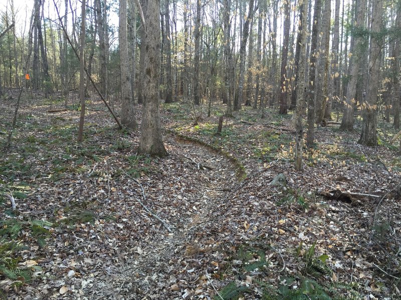 Not a bad berm for a foot-path. Really quite usable on the downhill run.