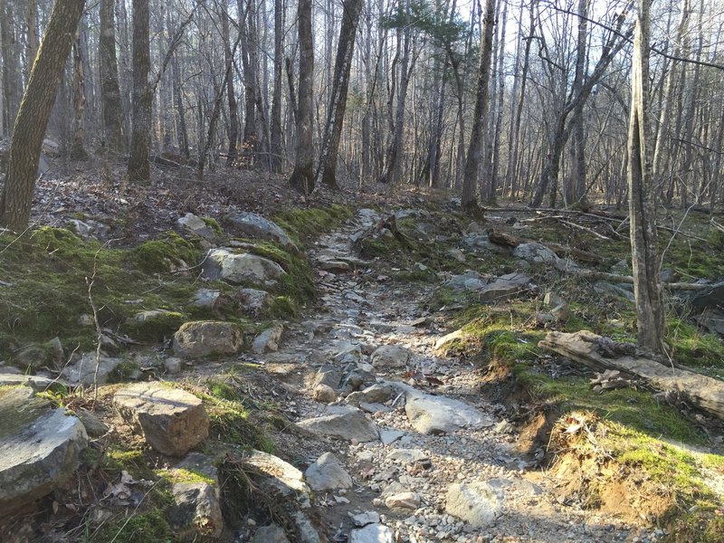 A fun little rock garden along the creek.