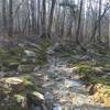 A fun little rock garden along the creek.