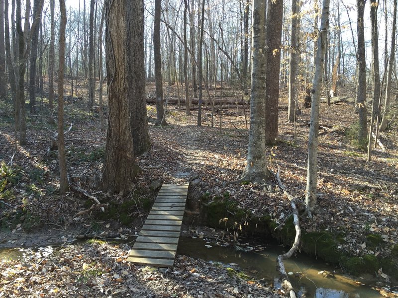 A fast bridge at the bottom of a sweeping downhill.