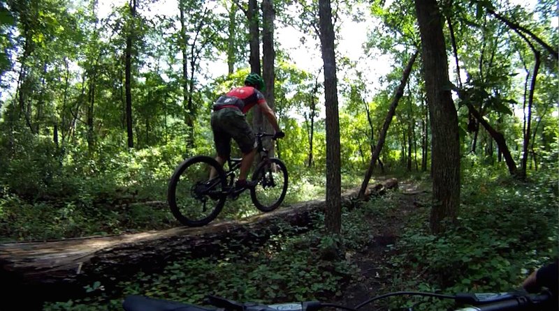 That 50' tree that fell in the forest? We heard it, then we rode it.