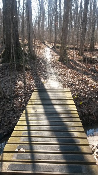 Bridge on Orange Trail.