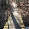 Bridge on Orange Trail.