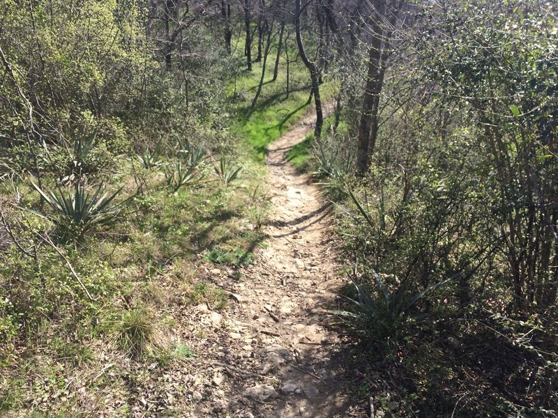 Nice run - keep you speed up as there is an uphill coming.