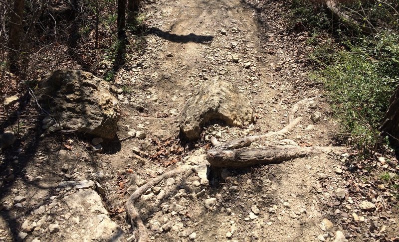 Watch out for this little fella it will sneak up on you because it is right when you come around a corner. Careful with your landing as you can see there are two good size rocks that will mess up a rim.