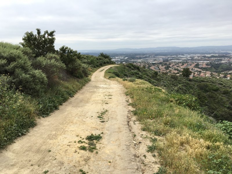 Water Tank Road skims the perimeter of Borrego Canyon.