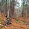 Taking a breather on the East Wimba Loop.