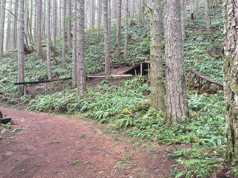 Wood features that remind you of Whistler Bike Park.