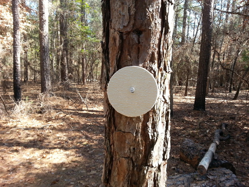 Watch for these little white disc's along the trail, they will keep you from getting lost.
