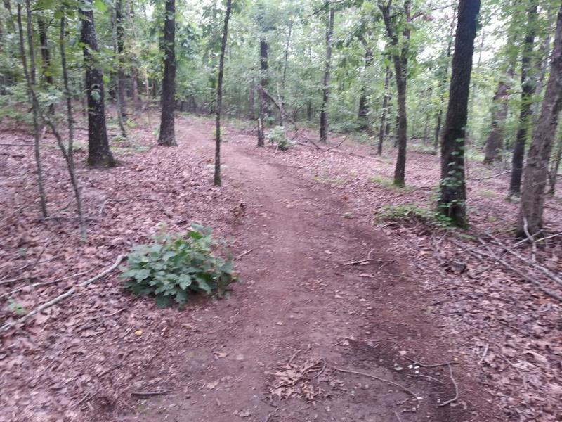 Pretty mild trail section at the top of the South Loop.