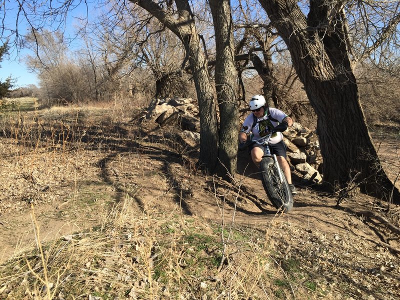 One of the many challenging features along the trail.