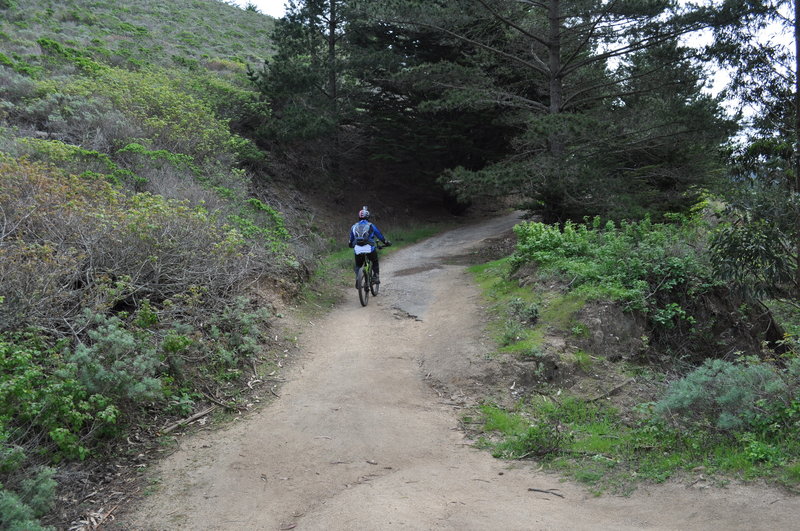 Climbing Old Pedro Mountain Road.