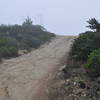 Montara Mountain summit communications towers shrouded in fog.