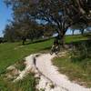 Rider navigating a section of Dyer Hill called "The Playground."