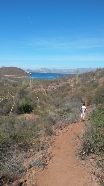 The trail to the beach side.