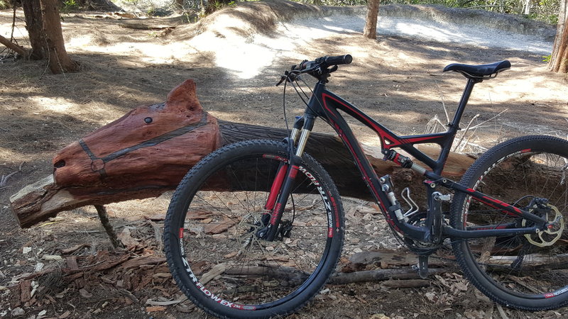 Horse Head Lean. An artist carved this horse head from a tree that fell on the trail.