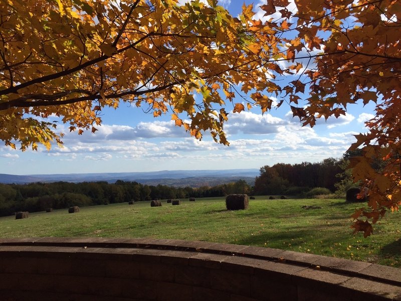 Overlook in Blue Knob State Park.