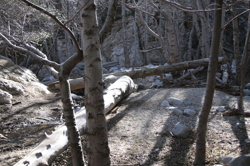 Switzer Picnic Area.