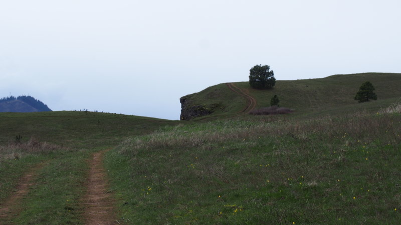 The abrupt cliff of the Coyote Wall in the distance.