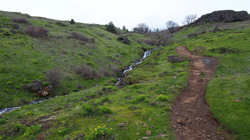 Little section of trail next to a stream.