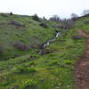 Little section of trail next to a stream.