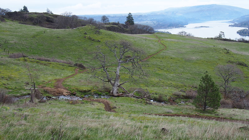 So dang picturesque. Beginning of the upper end of Little Maui Trail.