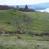 So dang picturesque. Beginning of the upper end of Little Maui Trail.