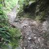 Technical rocky, downhill segment. Trench walls pictured.