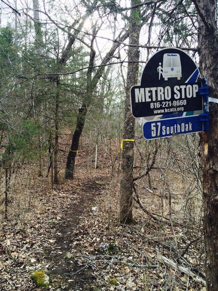 Trail sign for 57 South Oak (Bus Line).