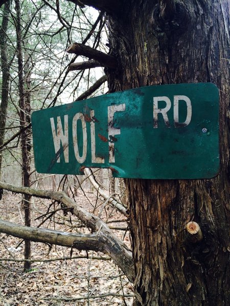 Trail sign for Wolf Rd.