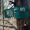 Trail sign for Wolf Rd.