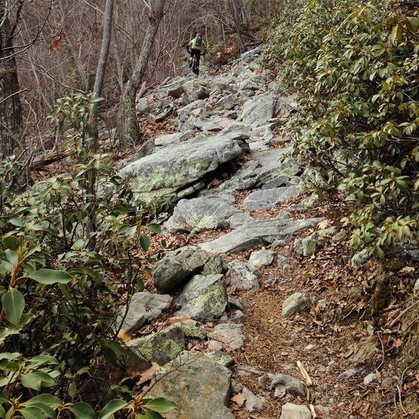 The climb up (or descent down) Signal Knob is not for the faint of heart.