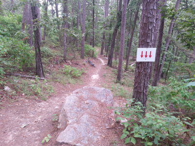 A bigger jump on the Green Loop with bypass if riding clockwise.