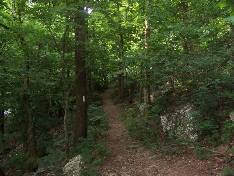 Heading down the trail.