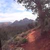 The view from the top of Aerie Trail.