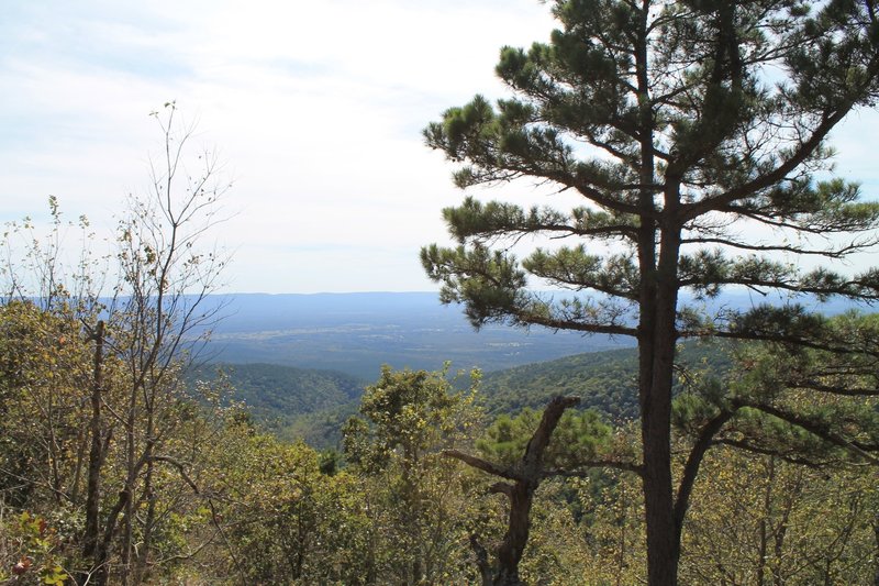 Looking out at the Ouachita's.