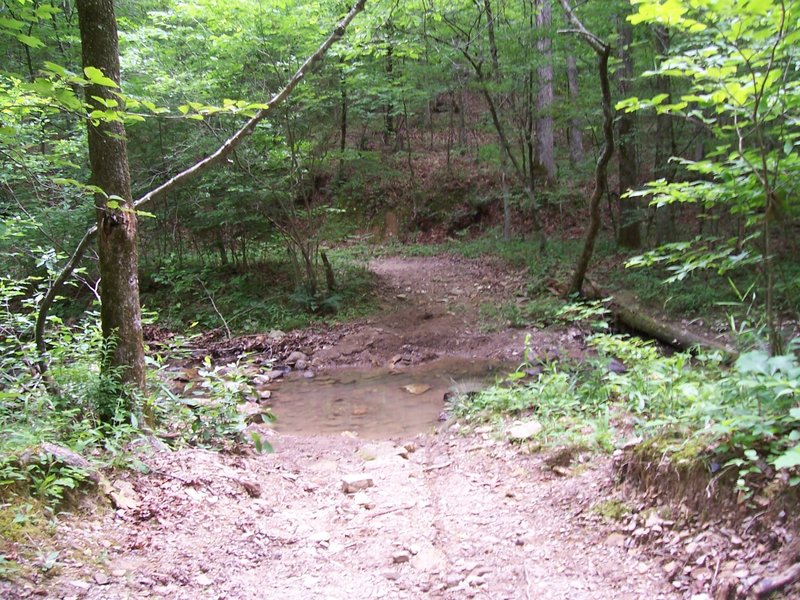 Creek Crossing on Charlton/Lovit just after Pipe Springs.