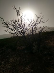 Riding in a dust storm.