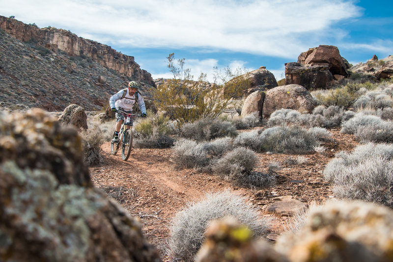 In the gully of Suicidal Tendencies, a must-ride in St. George!