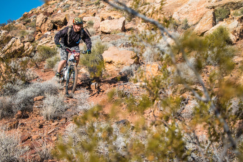 Great fun on the Boy Scout Loops in Hurricane, UT!