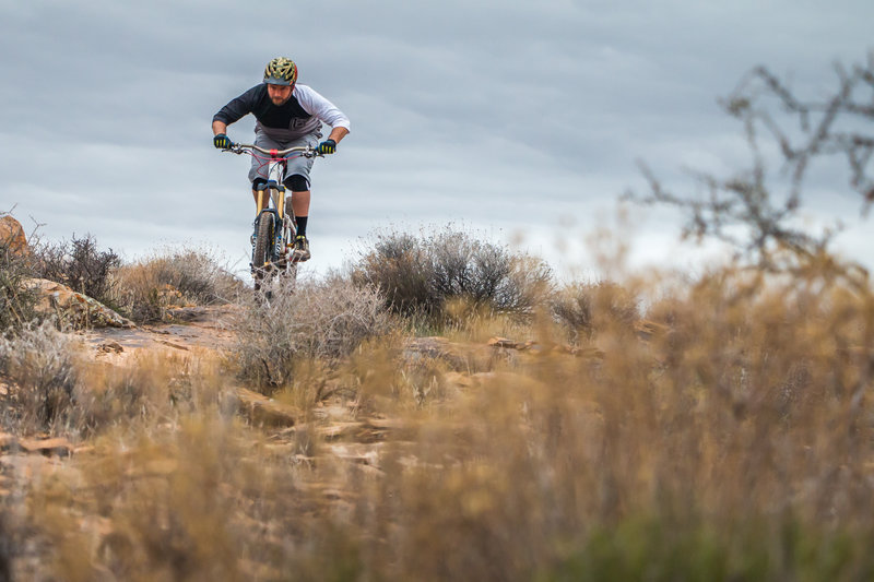 The Zen Trail in Santa Clara, UT is a must-ride. Great downhills and fun terrain to play on for hours.