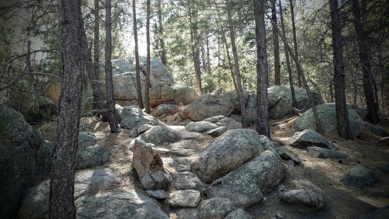 Rocky section of Cougar's Shadow trail.