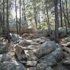 Rocky section of Cougar's Shadow trail.