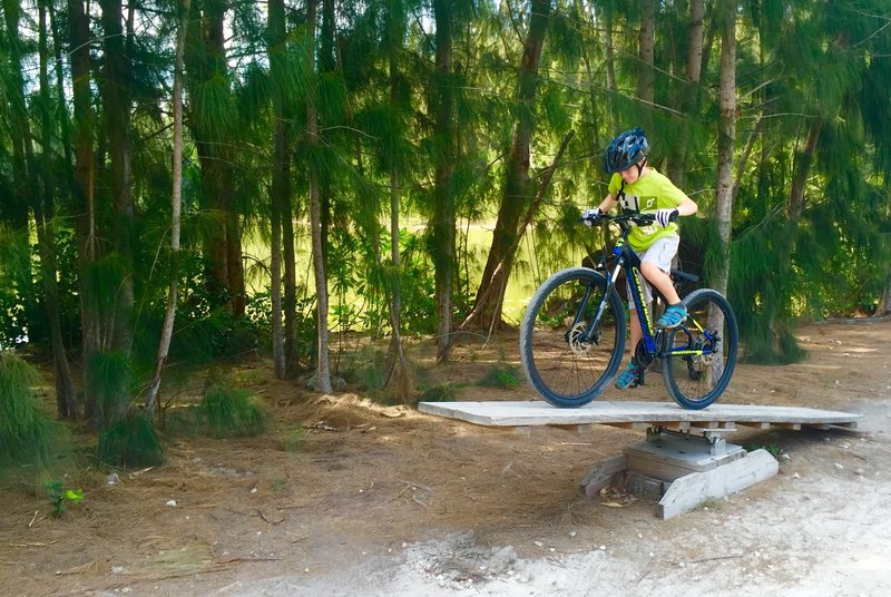 The teeter totter is fun to ride!