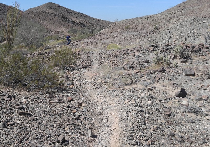 Typical trail through a wash.