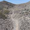 Typical trail through a wash.