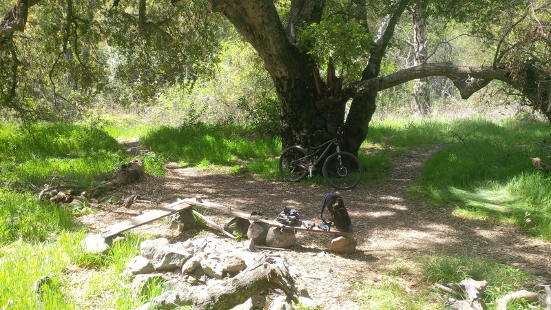 View of historical Old Camp.