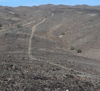 Looking east, uphill, showing nearly the entirety of Flynnagain.