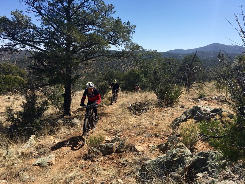 Honey Badger leading the charge near the top of one of the many climbing sections that this trail has to offer. Tallest peaks of the Burro Mountains can be seen in the background.