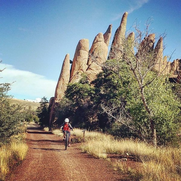 Dino's Wheelie on Peavine Trail.